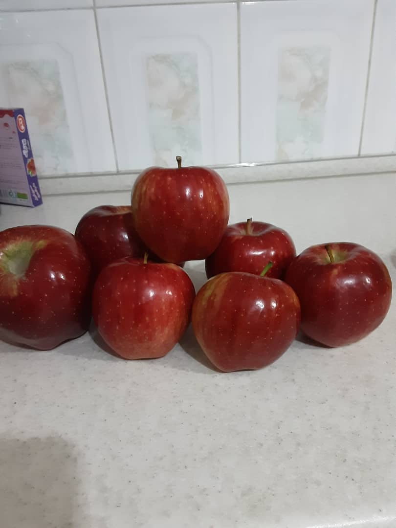 سیب صادراتی ارومیه
